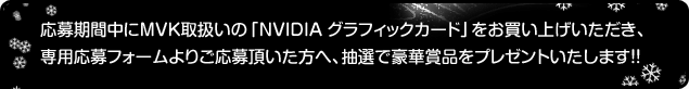 応募期間中にaiuto取扱いの「NVIDIA グラフィックカード」をお買い上げいただき、専用応募フォームよりご応募頂いた方へ、抽選で豪華賞品をプレゼントいたします！！