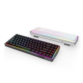 Function Elite MiniTKL