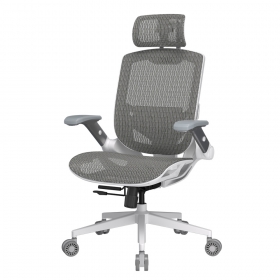 SPEEDER ONE WHITE